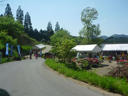 P1100444