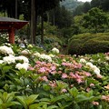 DSCF1603s-