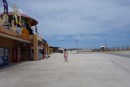 DSC02245