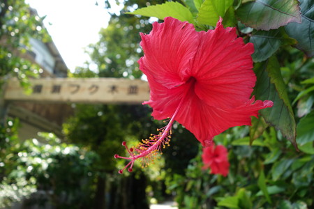 DSC02376