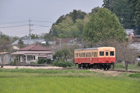 DSC_6432a