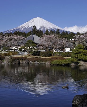 大石寺境内の池2-1