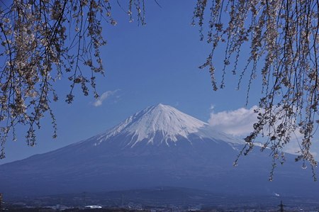 富士フィルム傍3