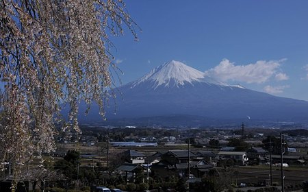 富士フィルム傍4