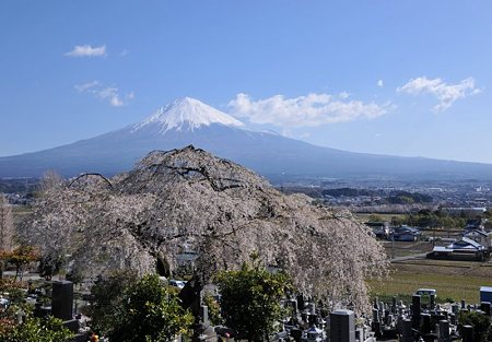 富士フィルム傍6