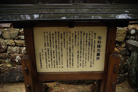 1104271642_DSC_0441