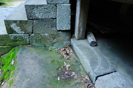 1106231659_DSC_2562