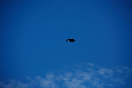 1107120643_DSC_5244