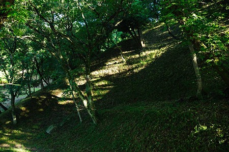 1107120717_DSC_5351