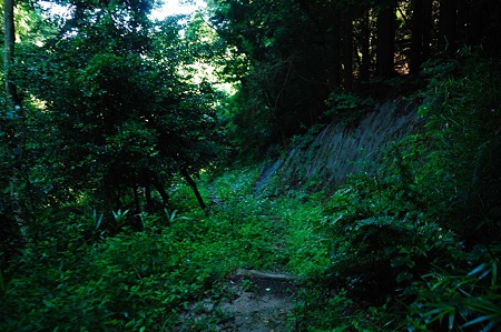 1107120745_DSC_5490