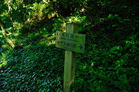 1107120746_DSC_5496