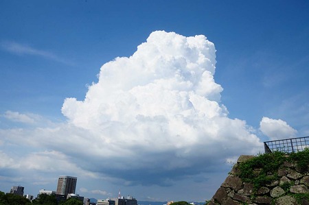 1107121544_DSC_5685