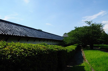1107121551_DSC_5724