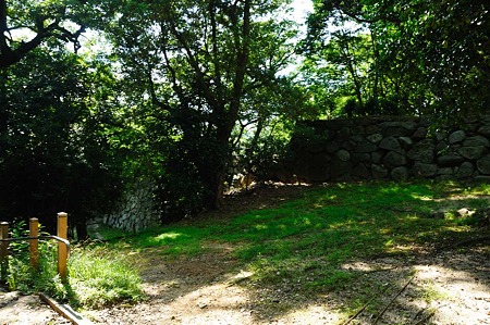 1107121558_DSC_5753