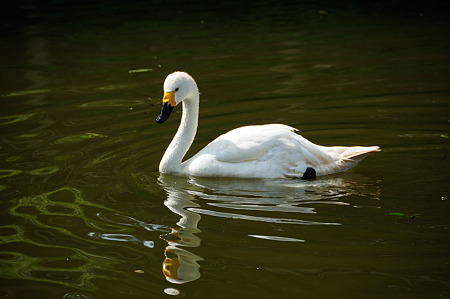 1108140846_DSC_6272