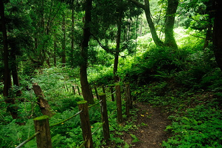 1108151131_DSC_6519