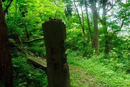 1108151132_DSC_6529