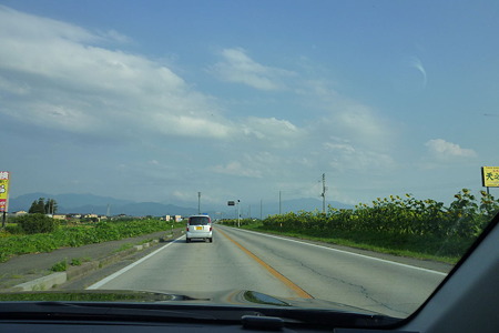 1108151621_P1790494