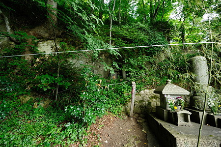 1108160924_DSC_7096