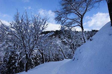 1101011154_DSC_6140