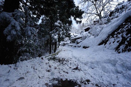 1101011356_DSC_6490