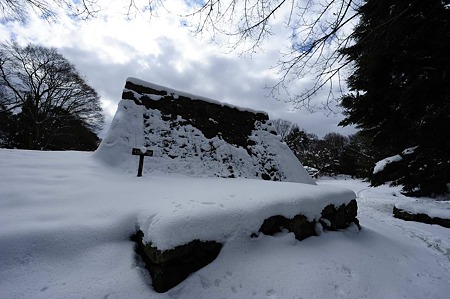 1101021241_DSC_7229