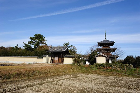 1101031026_DSC_7811