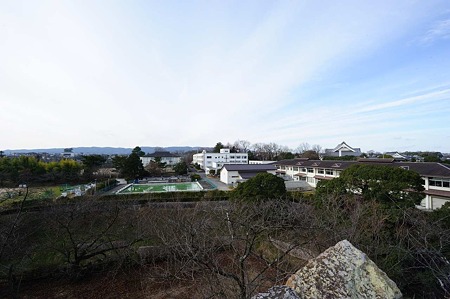1101031231_DSC_7960
