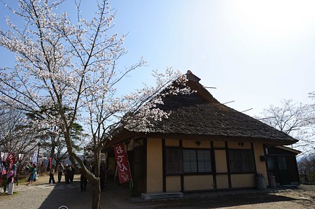 1104121457_DSC_9388