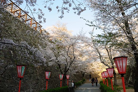 1104121721_DSC_4961