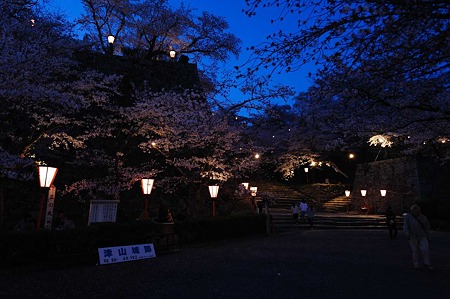 1104121855_DSC_9610