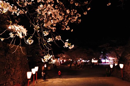 1104121927_DSC_9734