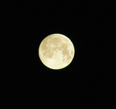 DSC09183 2