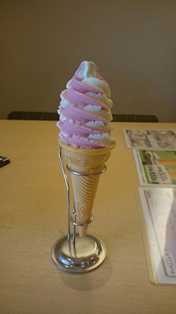 毎度、お馴染♪スジャータ～