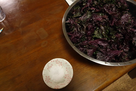 DSC04096