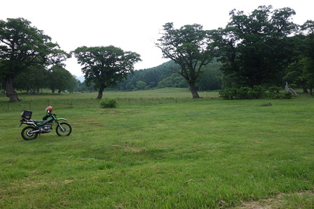DSC04184