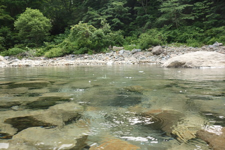 DSC04233