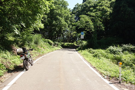 DSC04308