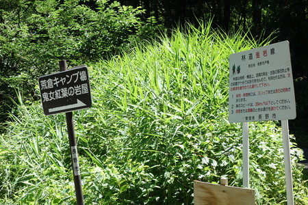 DSC04500
