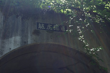 DSC04518