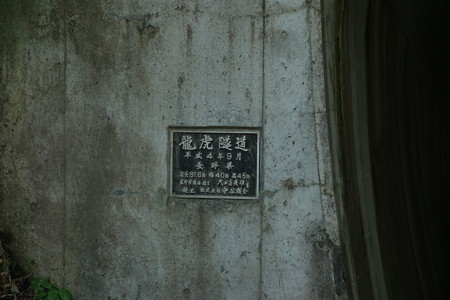 DSC04519