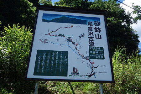 DSC04541