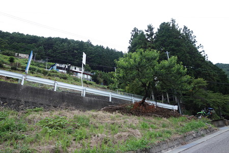 DSC05219