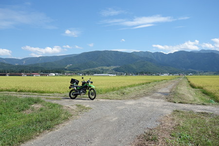 DSC05517