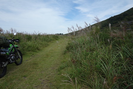 DSC06105