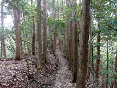 iseyamakami_ibutadera07