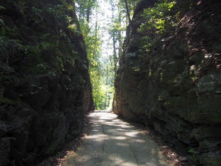 mezurasitouge15