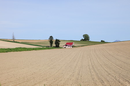 IMG_5271