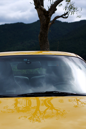 nex511100201