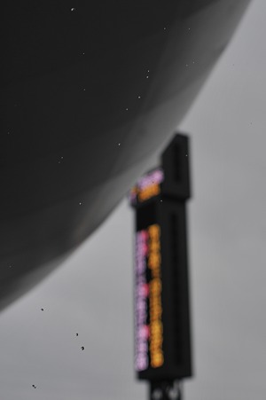 DSC_3964mm